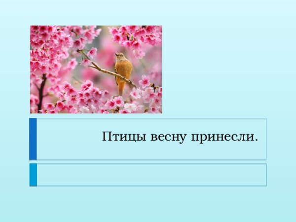 Ласточка на ветке