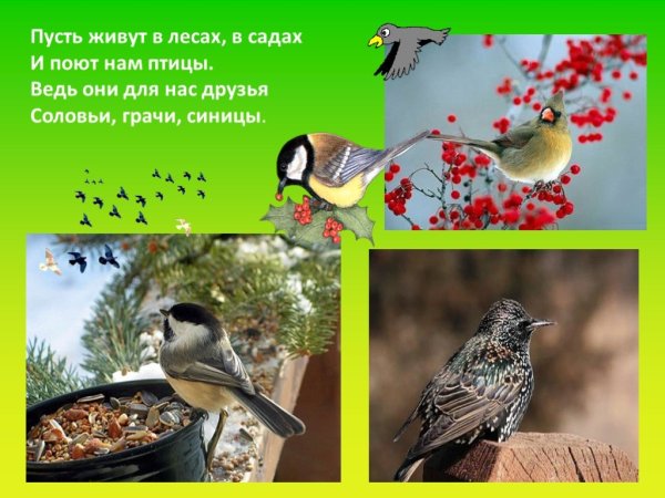 Птицы весной