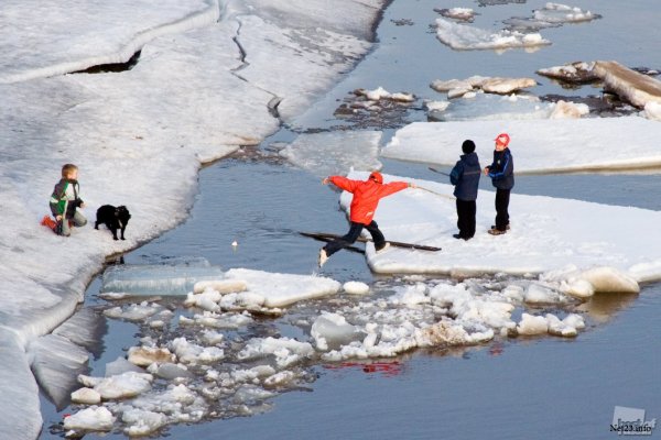 Весенний лед