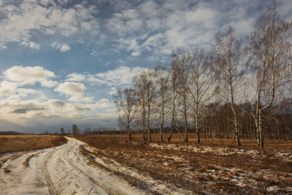 Весенний пейзаж