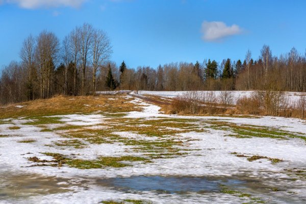 Поле в апреле