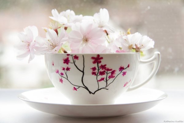 Доброе Весеннее утро