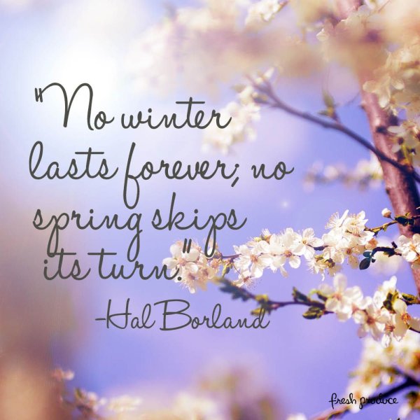 Весна come на английском