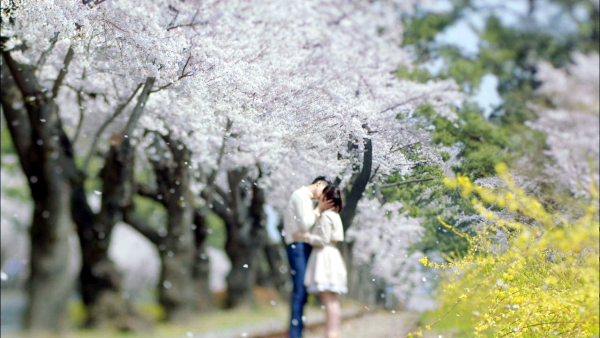 Ранняя Весна любовь