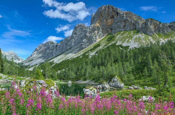 Гора Монблан и Альпийские Луга