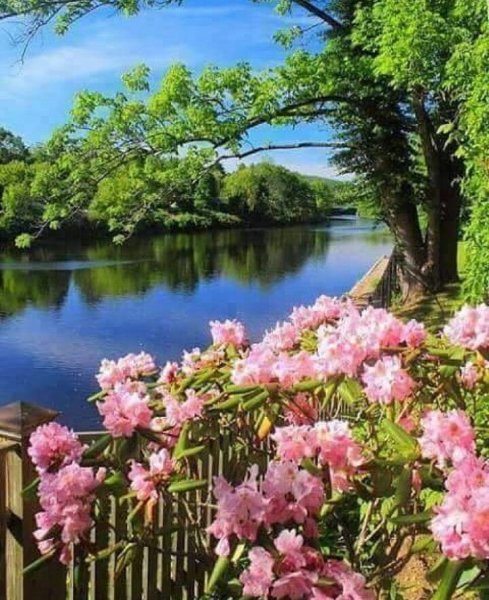 Весенний пейзаж