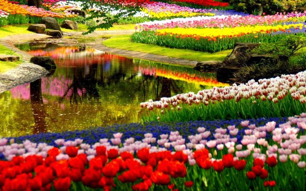 Весенний сад (Spring Topiary Garden)