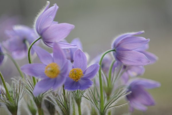 Весна в Братске