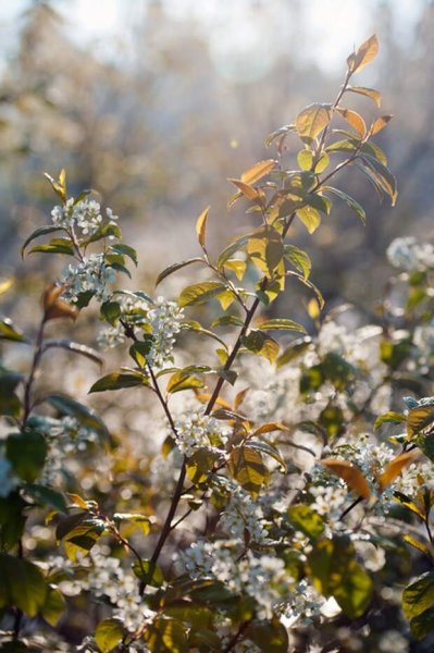 Братск весной