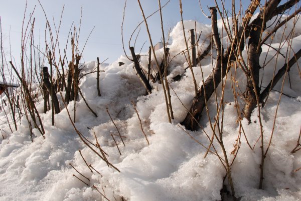 Весна Братск апрель