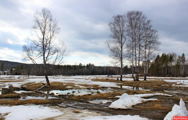 Братск город