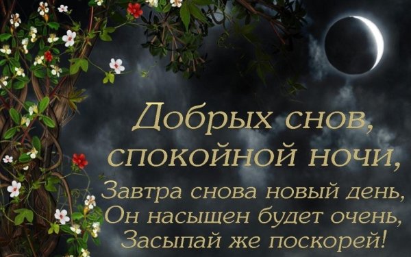 Спокойной ночи сладких снов природа