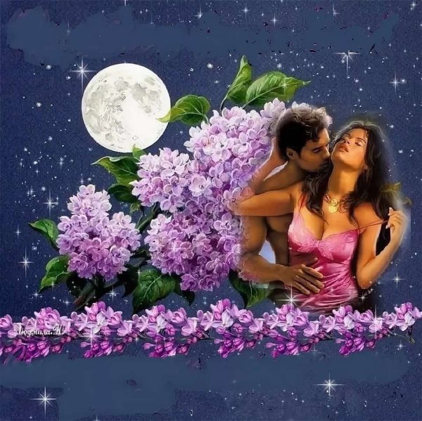 Спокойной ночи сирень