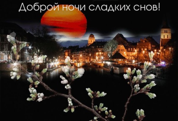 Спокойной весенней ночи