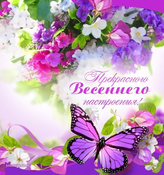 Весеннего настроения пожелания