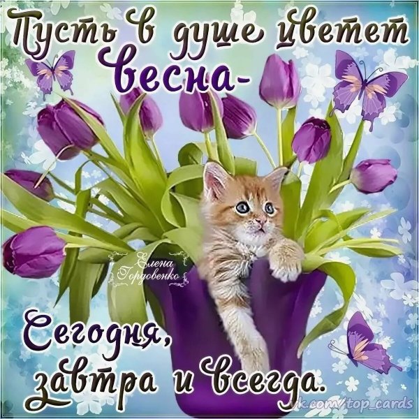 Весеннее настроение пожеланиями доброе