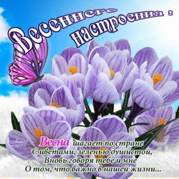 Весеннего настроения пожелания