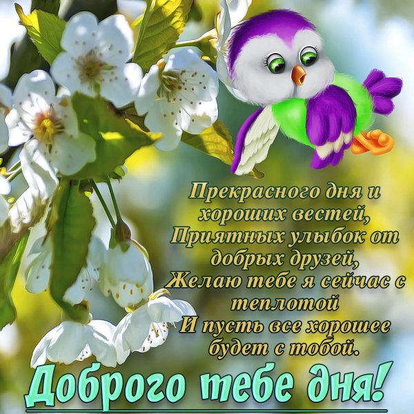Доброго весенненнго дня