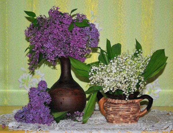Сирень и Ландыши