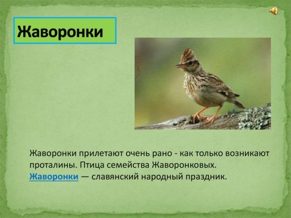 Закличка о весне Жаворонки прилетите