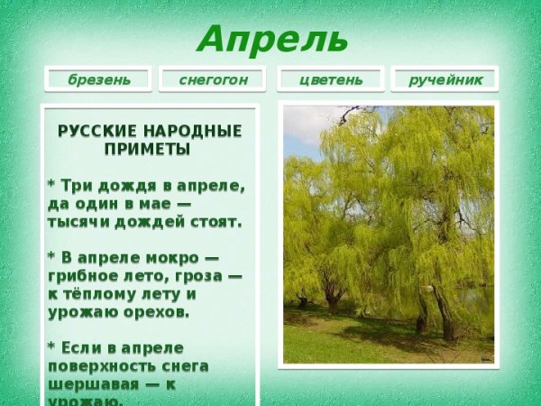 Календарь природы Весна