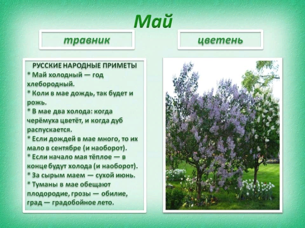 Календарь природы для детского сада