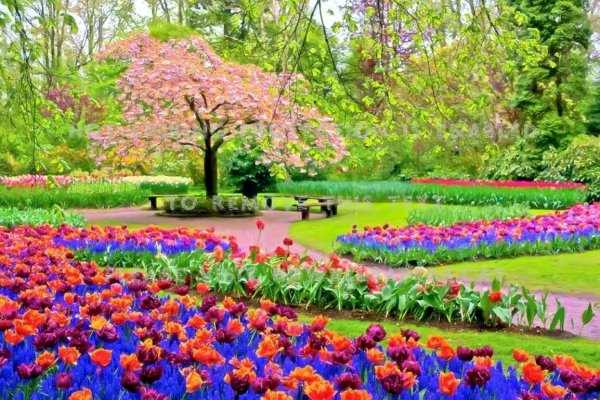 Сеасонс спринг