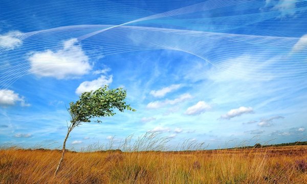 Ветер весной