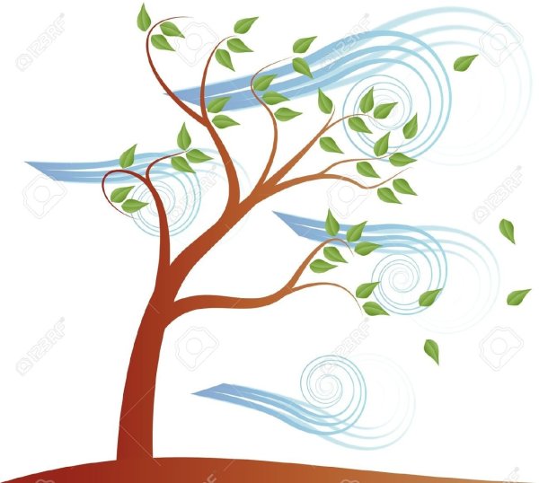 Порывистый ветер