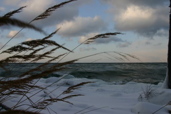 Весенний ветерок