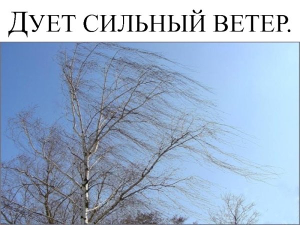 Весенний ветер