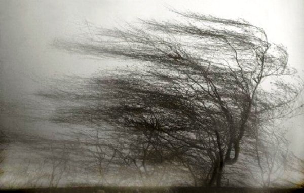 Девушка зонт ветер