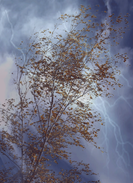 Летний ветер иллюстрации