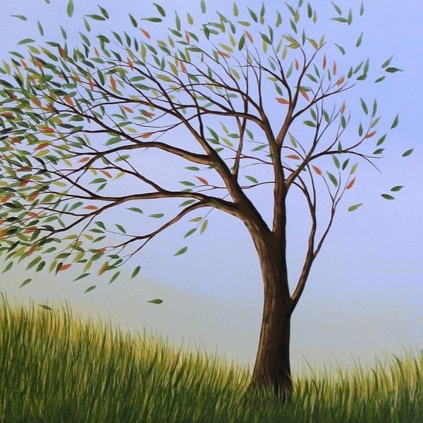 Седой ветер