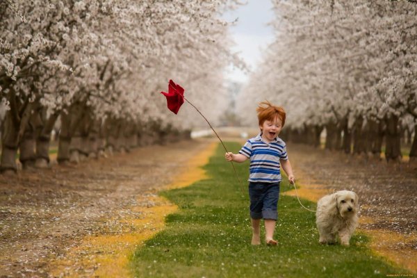 Афоризмы о радости жизни