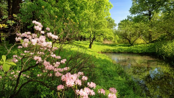 Весенний пейзаж