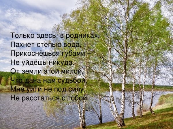 Весна вода березы