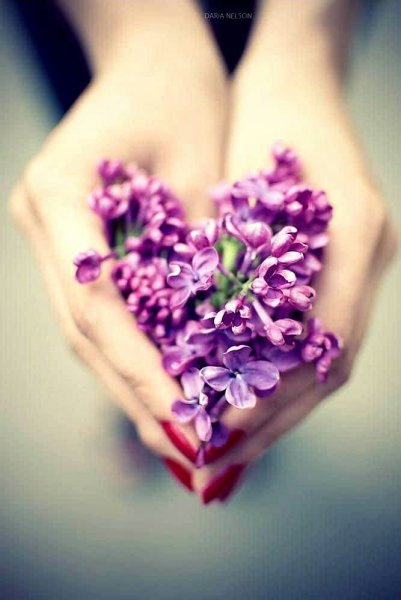 Цветок на руку.