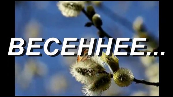 Волшебство осени