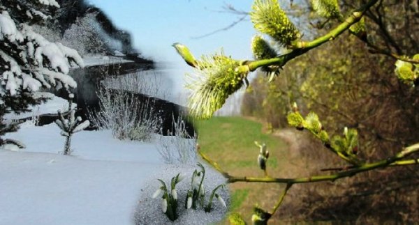 Весенне зимнее