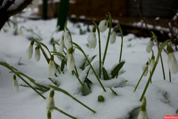 Встреча зимы
