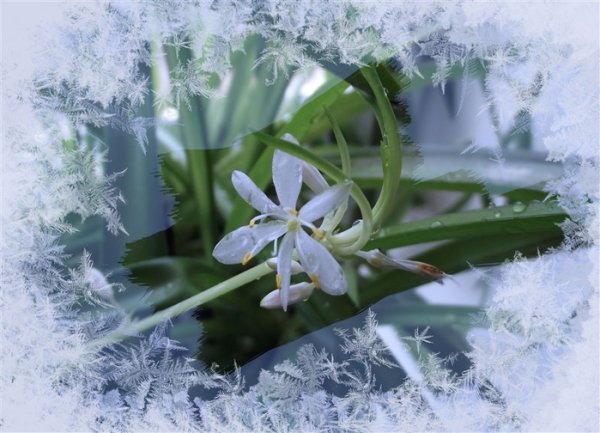 Сретение встреча зимы с весной