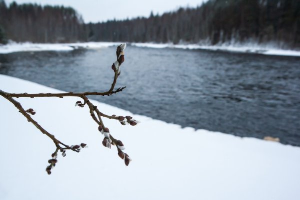 Встреча зимой и весной