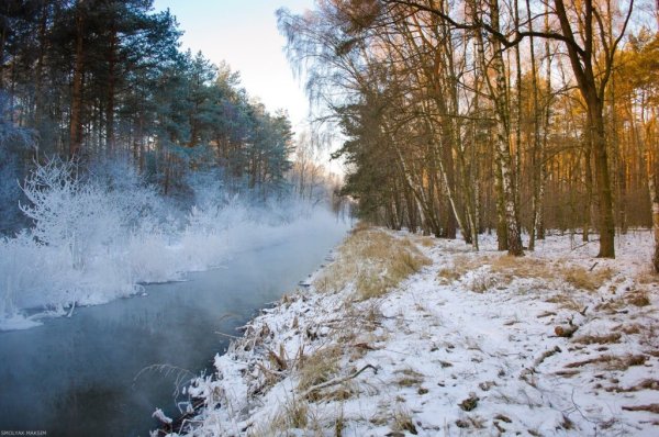 Зимний пейзаж с людьми