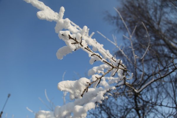 Панасенко Сергей Петрович художник