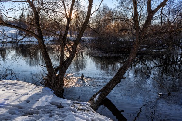 Весна в марте
