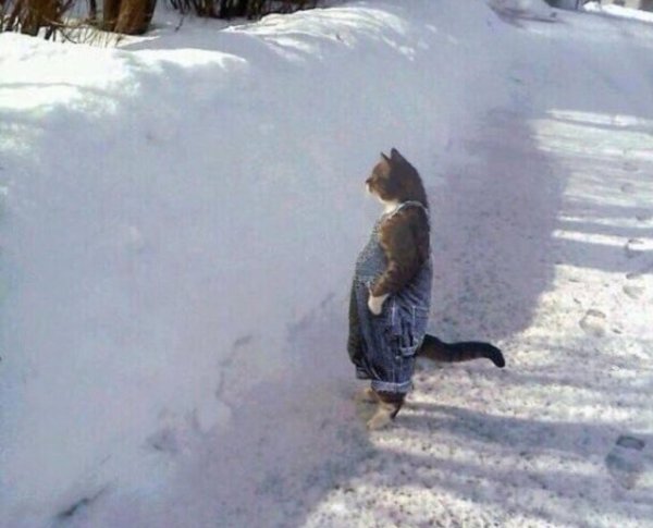 Весна ты где