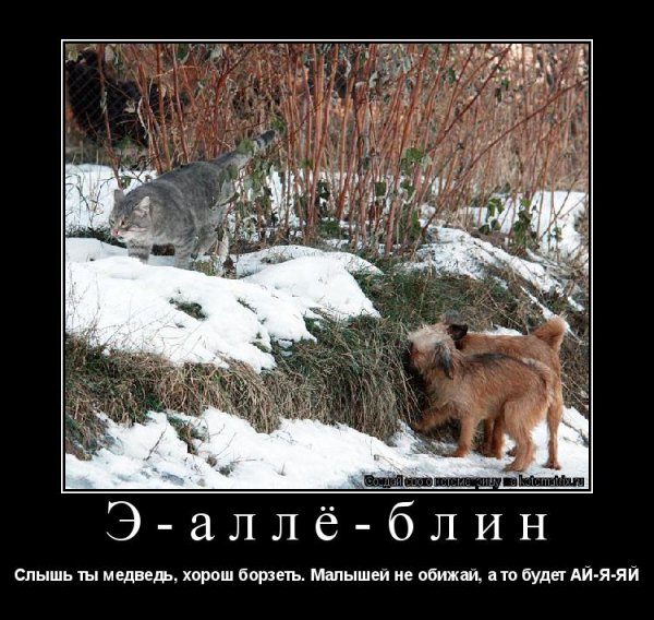 Зима вернулась