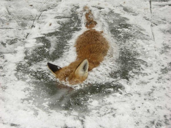 Зиму перезимовали и весну Перезимуем