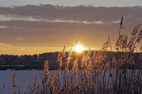 Весенний закат